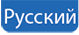 russian translation